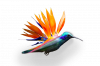 Sit logo